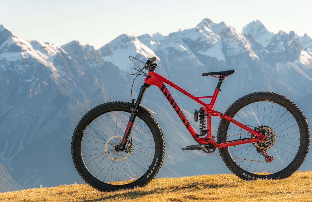 a-red-mountain-bike-parked-on-top-of-a-grass-covered-hill-jcem3faxhfw